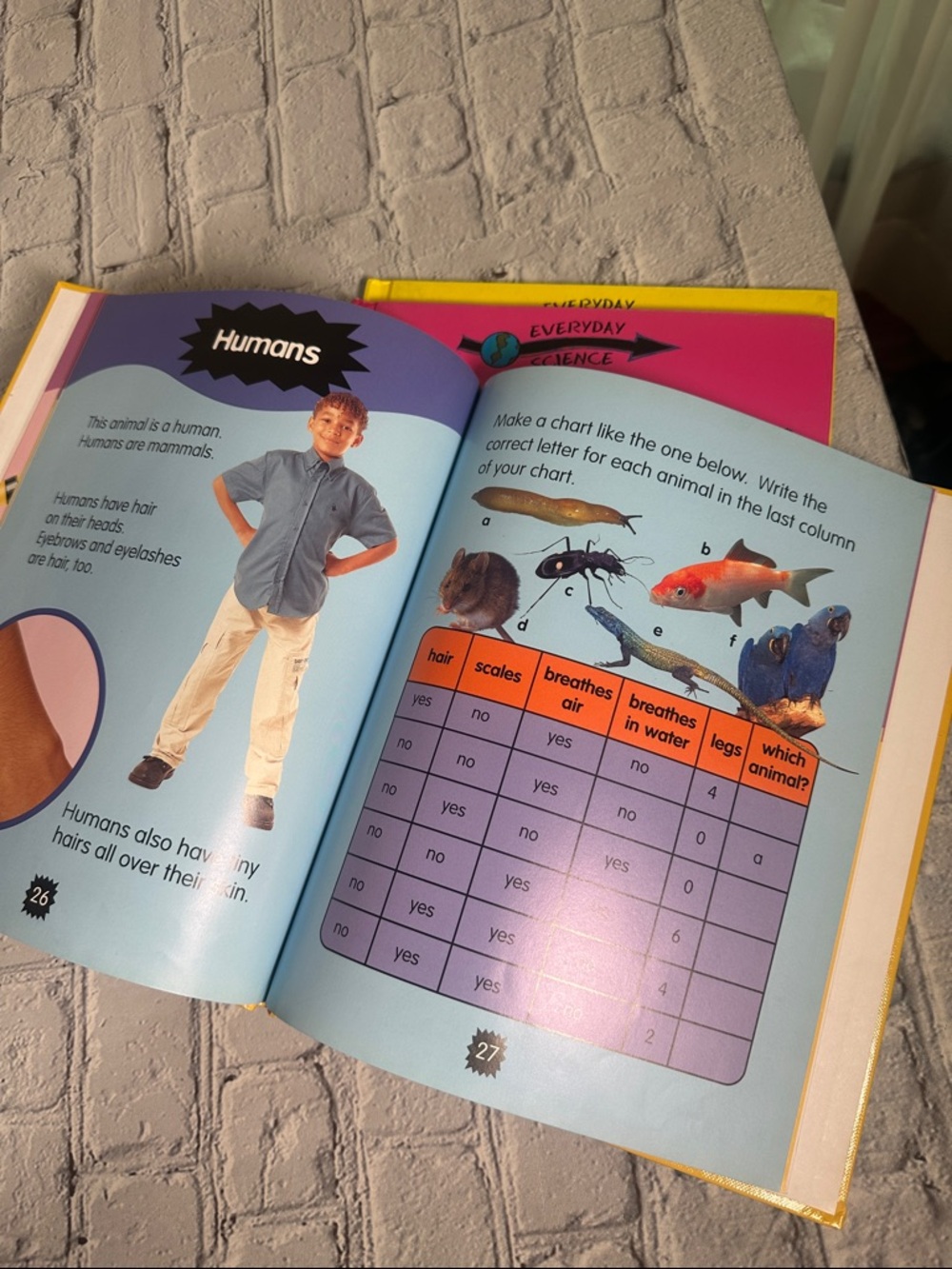 Everyday Science Series: by Peter Riley Science books for kids age 4-8 -7 Books - Picture 11 of 15